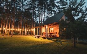 Leśna 21 Dom Południe przy PUSZCZA BIAŁOWIESKA