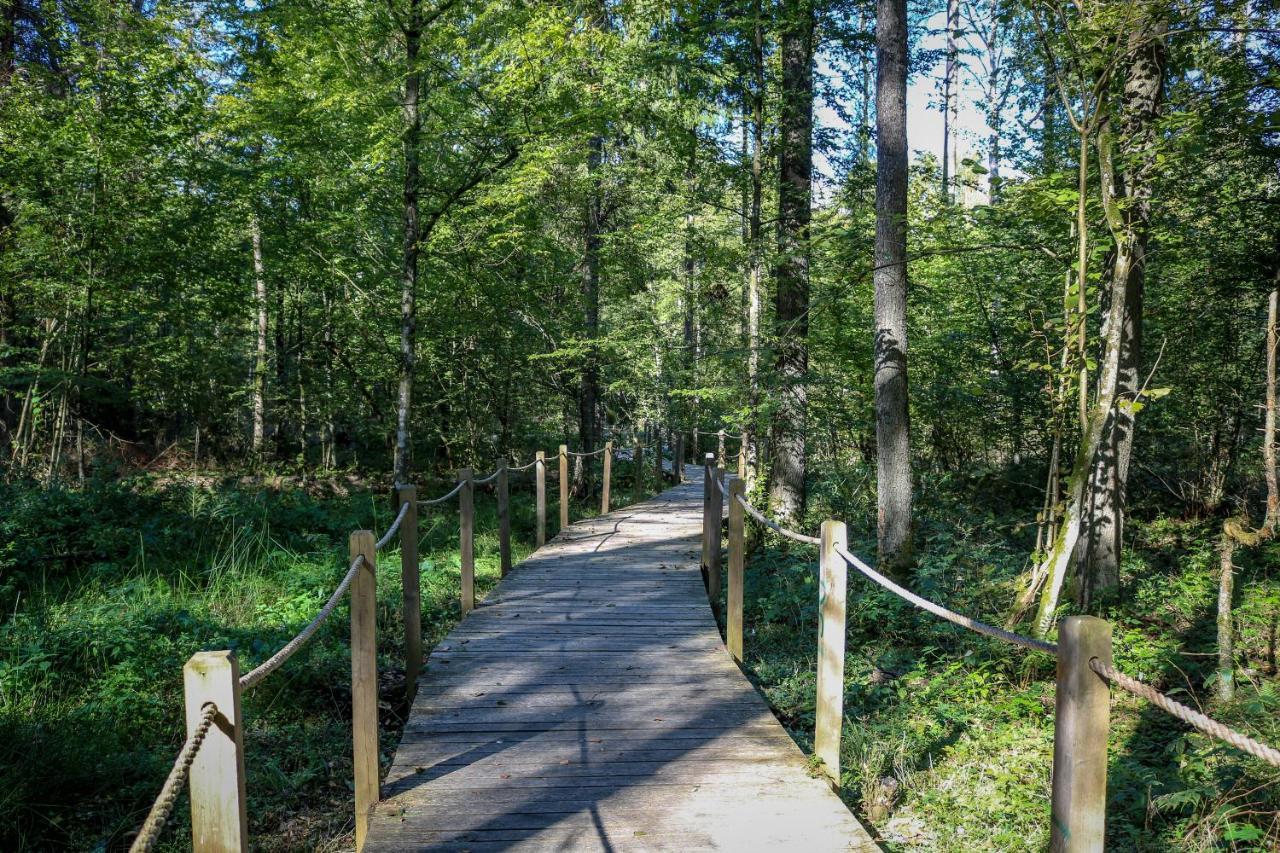 Leśna 21 Dom Południe przy PUSZCZA BIAŁOWIESKA Luka Zewnętrze zdjęcie