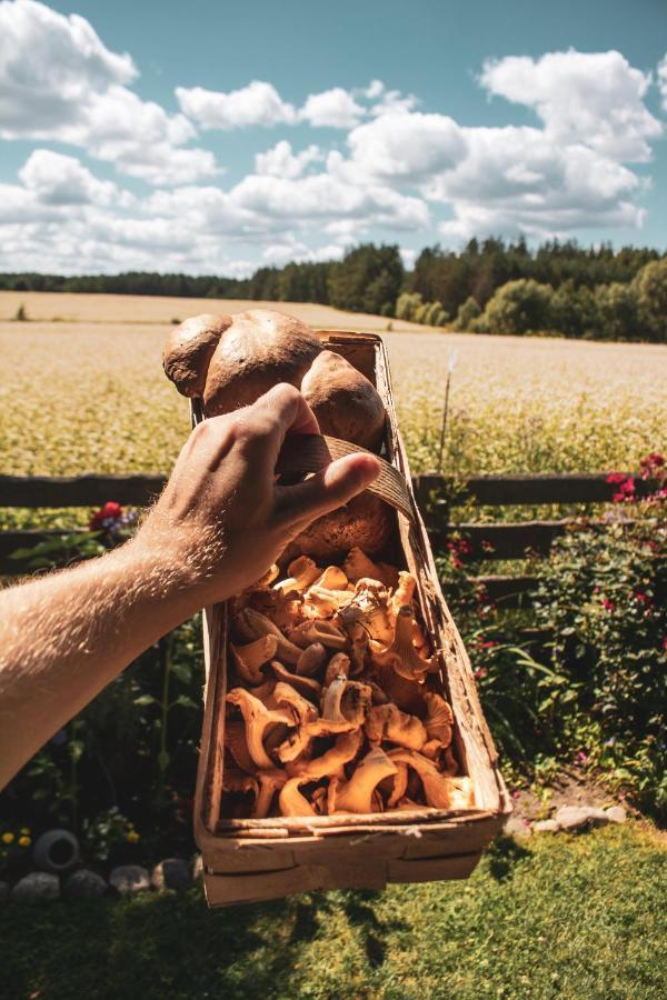 Leśna 21 Dom Południe przy PUSZCZA BIAŁOWIESKA Luka Zewnętrze zdjęcie