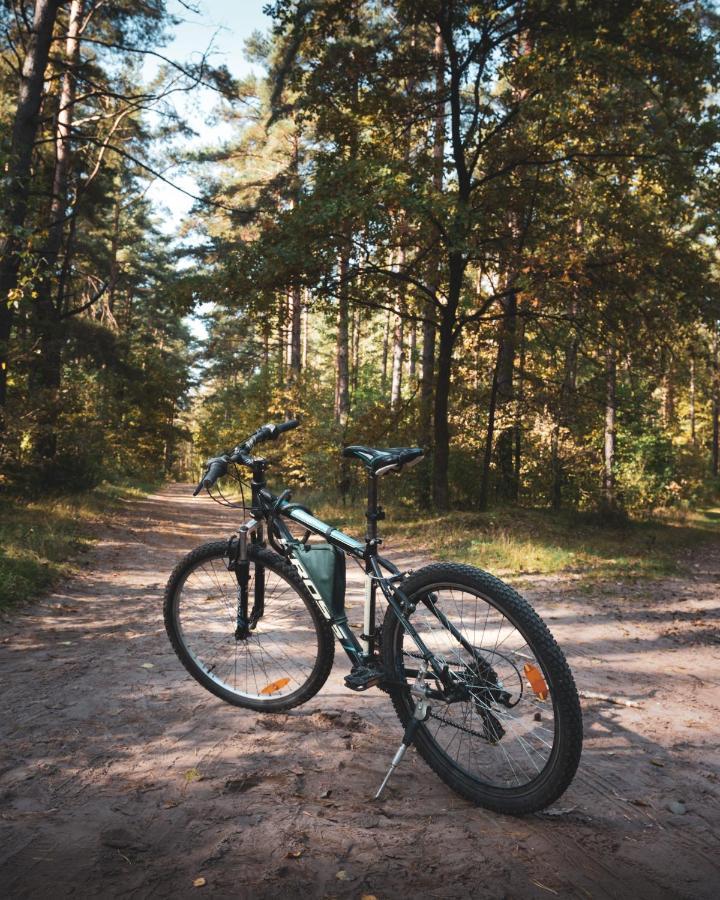 Leśna 21 Dom Południe przy PUSZCZA BIAŁOWIESKA Luka Zewnętrze zdjęcie