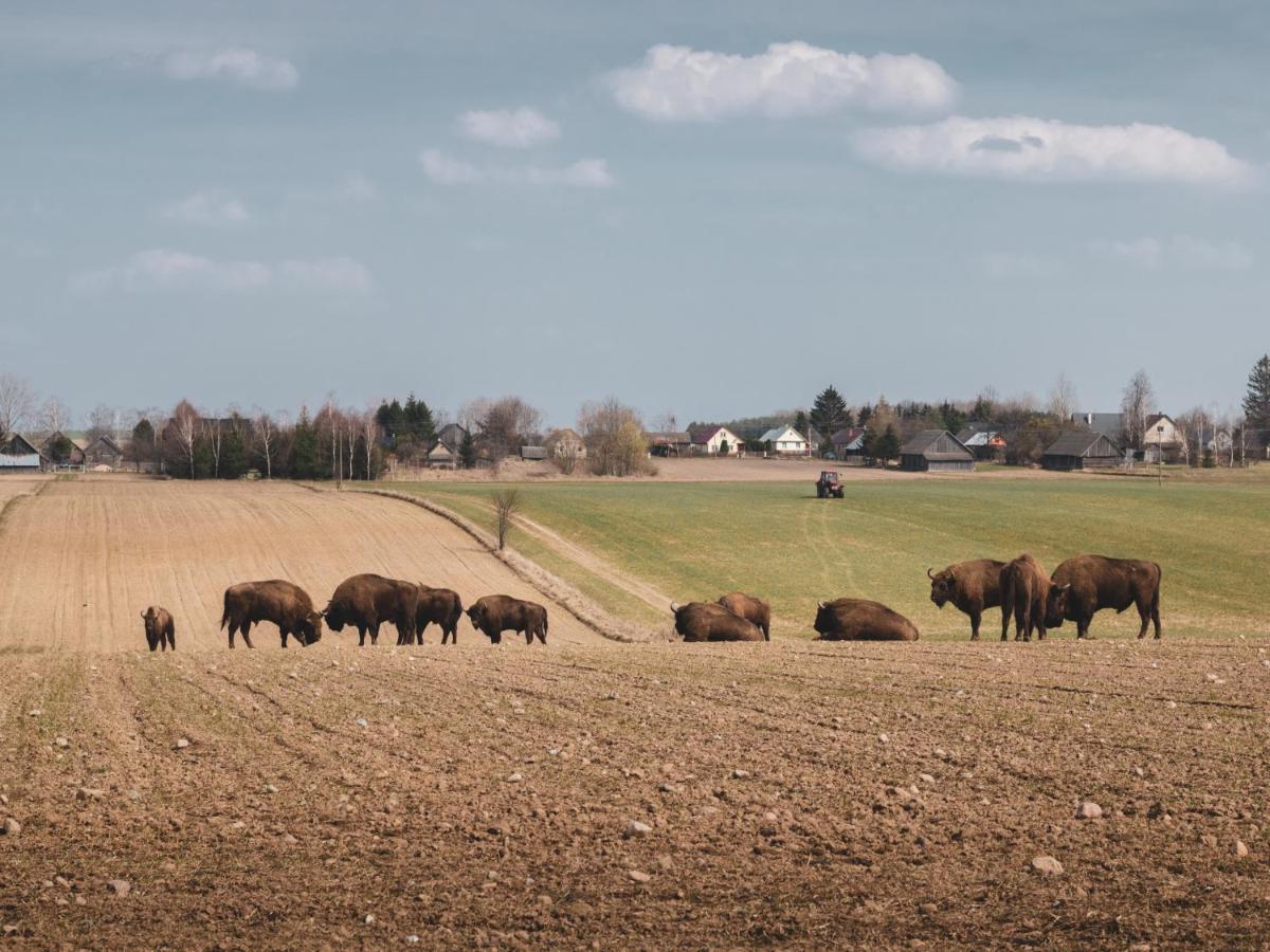 Leśna 21 Dom Południe przy PUSZCZA BIAŁOWIESKA Luka Zewnętrze zdjęcie